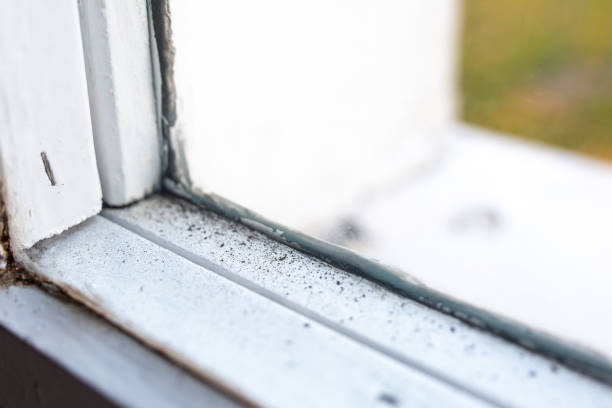 Best Indoor Air Quality Assessment  in Gibsonia, PA