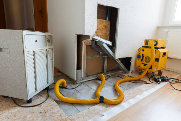 Best Post-Construction Mold Inspection  in Gibsonia, PA