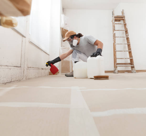 Best Residential Mold Inspection & Testing  in Gibsonia, PA